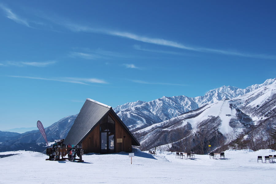 白馬岩岳スノーフィールド — 北アルプスの絶景と開放的なゲレンデ